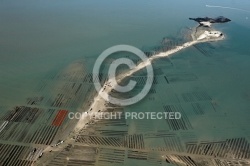 Parcs à huîtres Pointe de la Fumée à Fouras Parcs à huîtres Pointe de la Fumée à Fouras